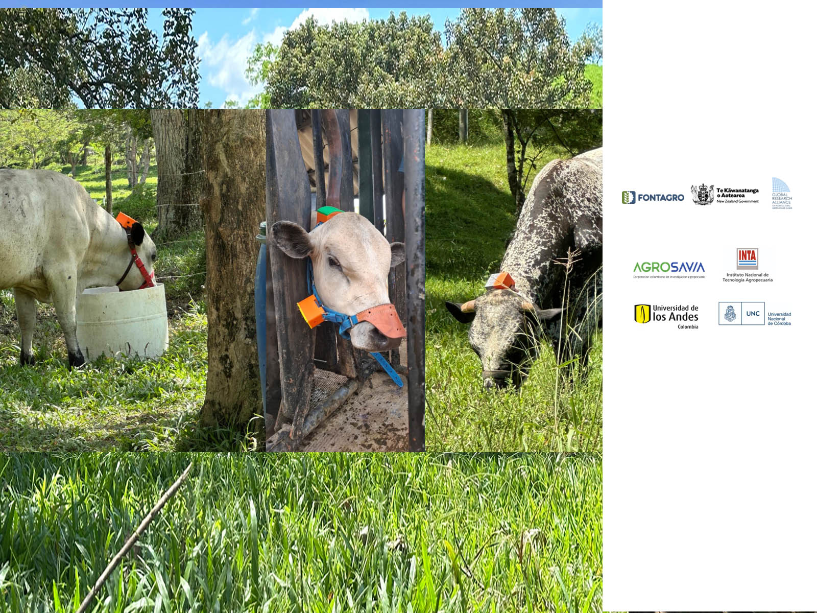 Project Story Image
