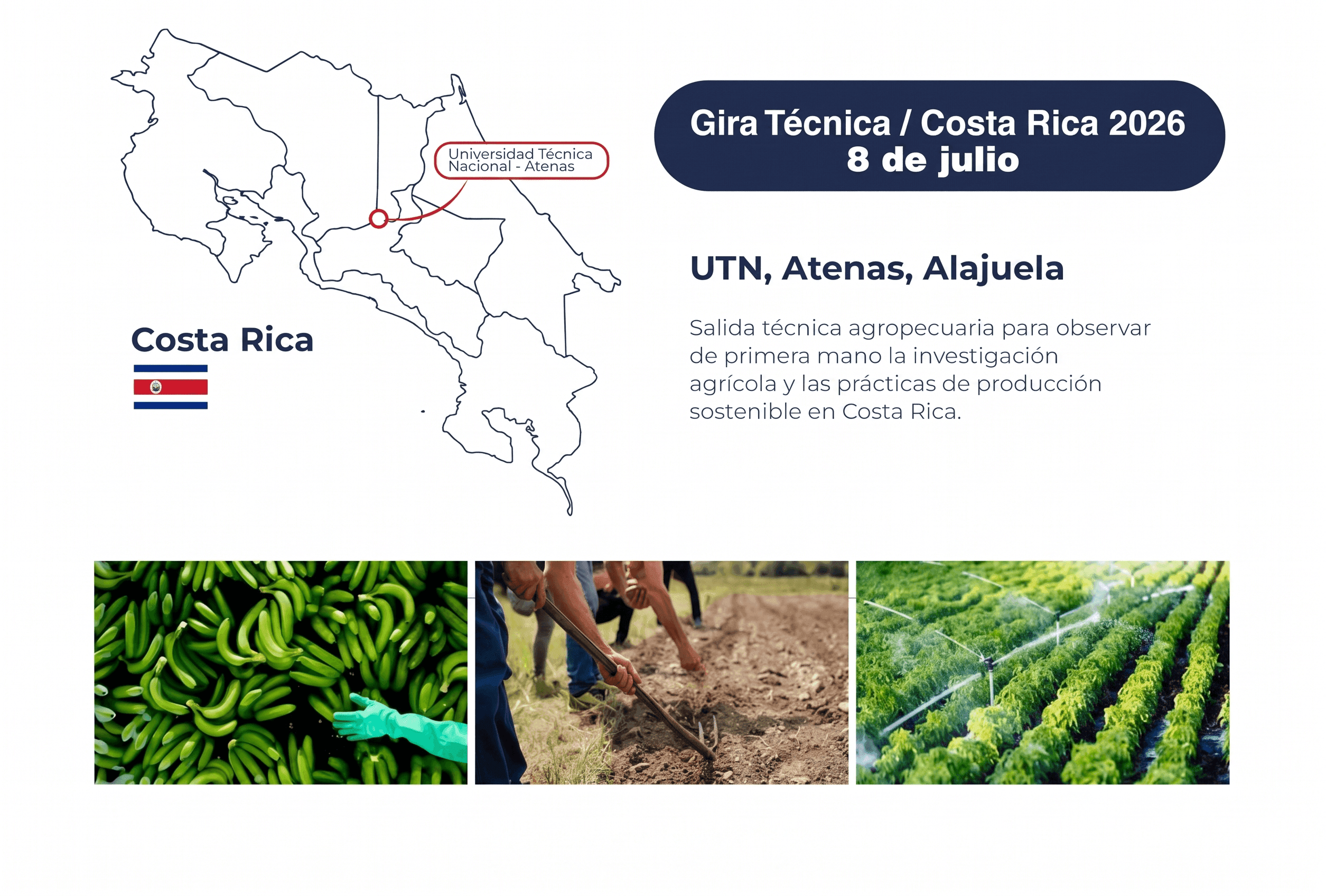 5. GIRA TECNICA_Mesa de trabajo 1 copia 5-sinbtn.png